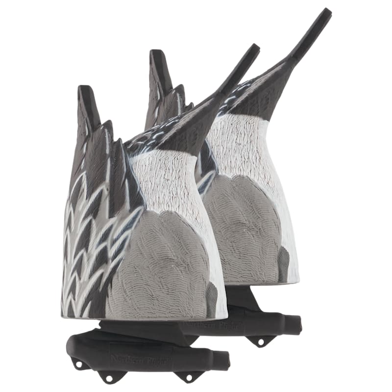 Northern Flight Big Spread Pintail Butts Duck Decoy 2-Pack