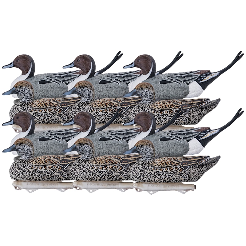 Northern Flight Big Spread Pintail Duck Decoys 6-Pack
