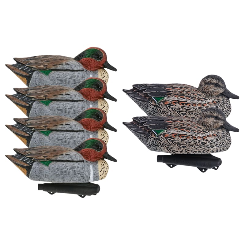 Northern Flight Pro Series Green-Winged Teal Duck Decoys 6-Pack