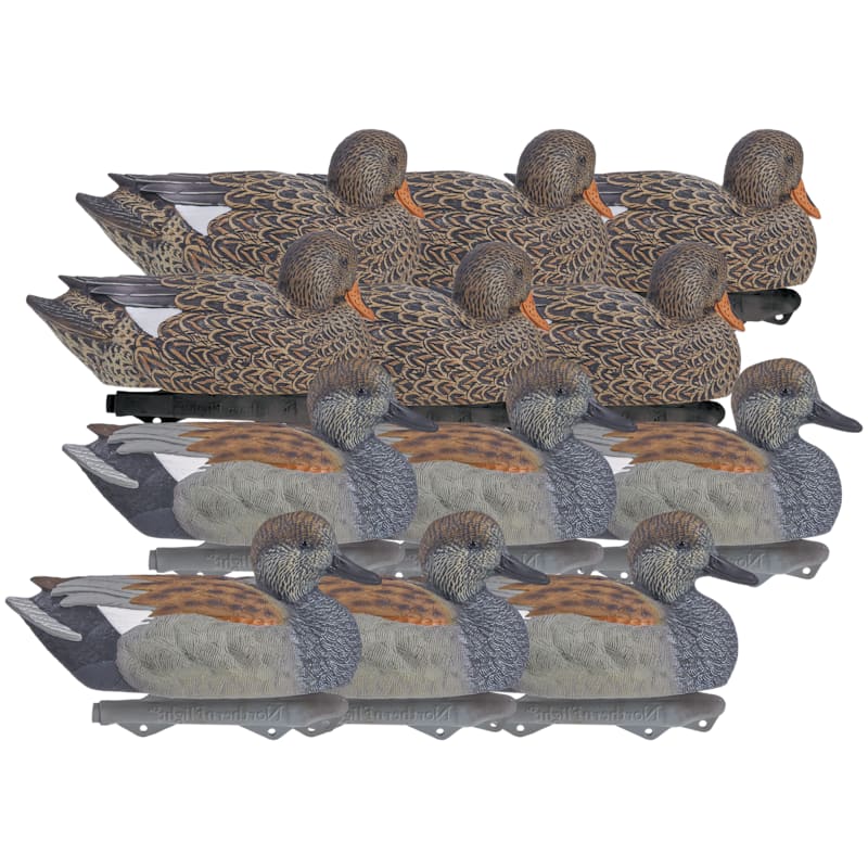 Northern Flight Big Spread Gadwall Duck Decoy 6-Pack