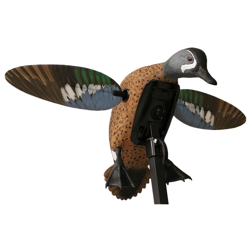 MOJO Elite Series Blue-Winged Teal Duck Decoy HW2475-3P