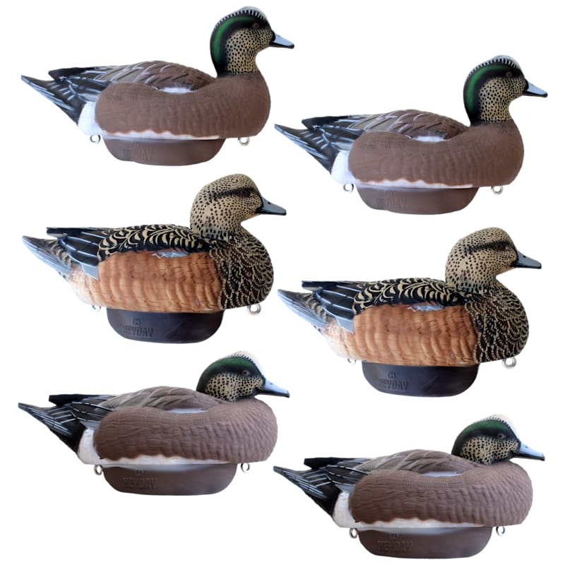 HEYDAY HydroFoam Wigeon Duck Decoys 6-Pack