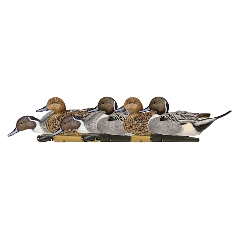 Avian-X Topflight Pintail Duck Decoys 6-Pack