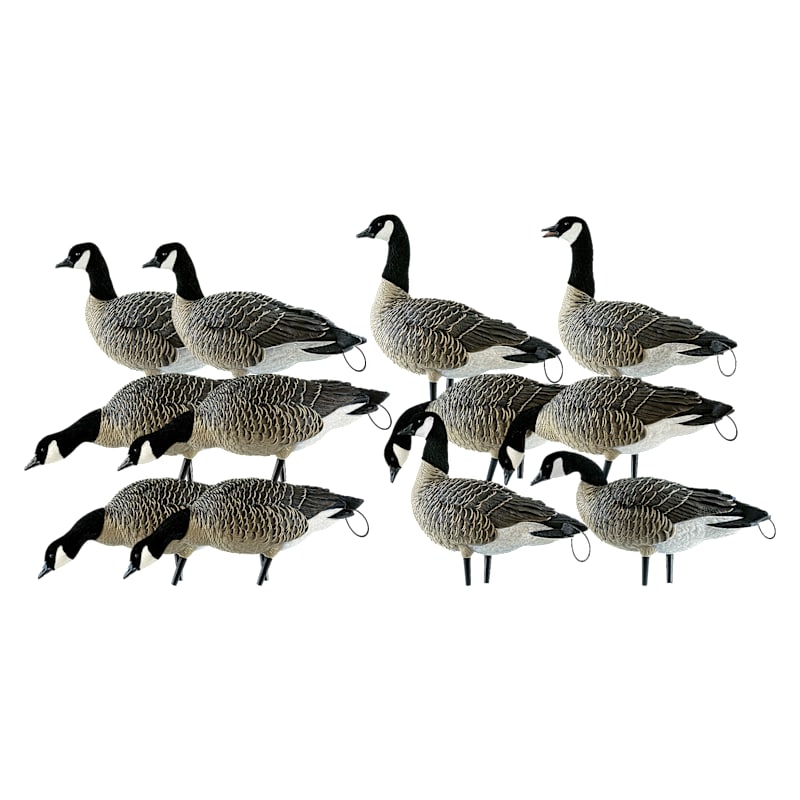 Avian-X Fully Flocked Lesser Canada Goose Decoys with Tail Loops 12-Pack