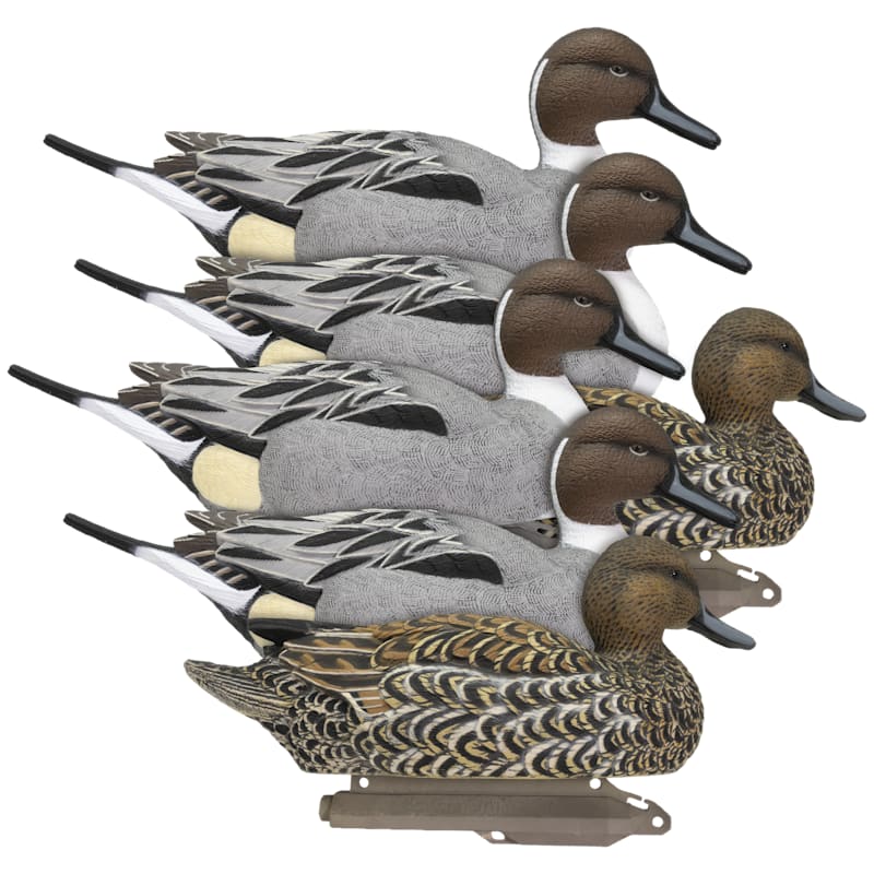 Higdon Outdoors Legacy Magnum Pintail Foam-Filled Duck Decoy 6-Pack