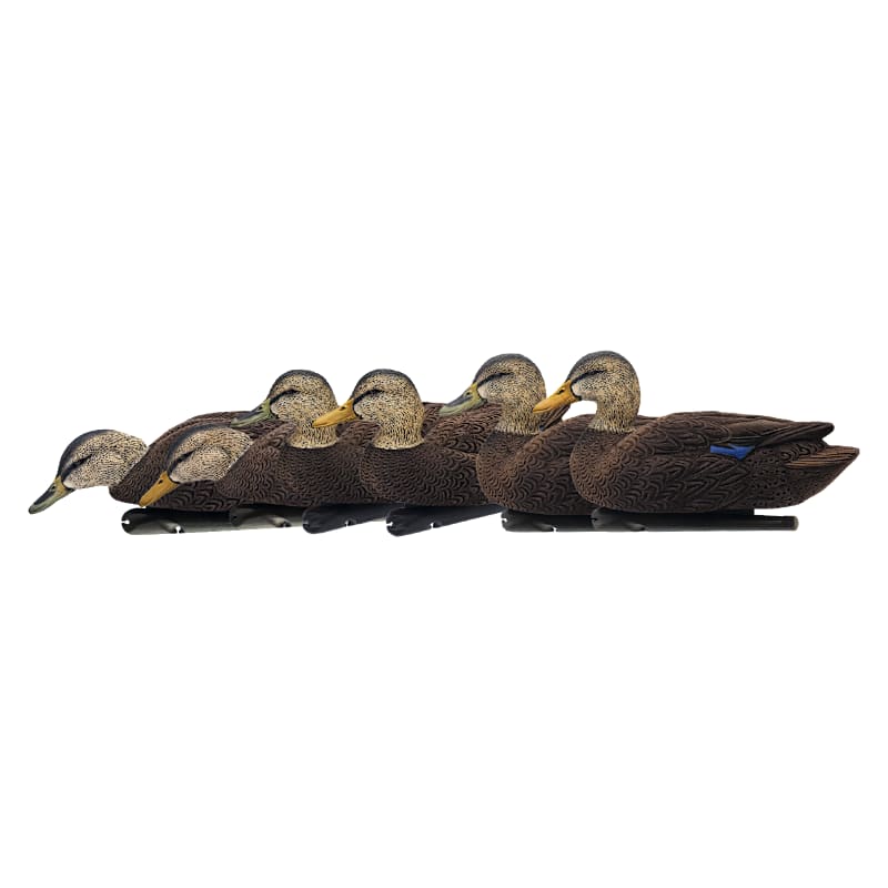 Avian-X Topflight Flocked Black Duck Decoys 6-Pack