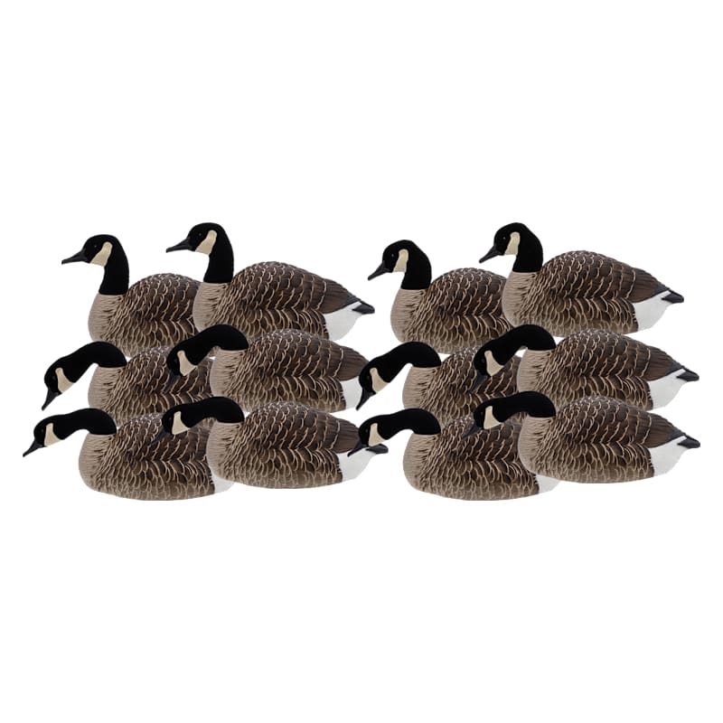 Avian-X Canada Goose Shell Decoys 12-Pack