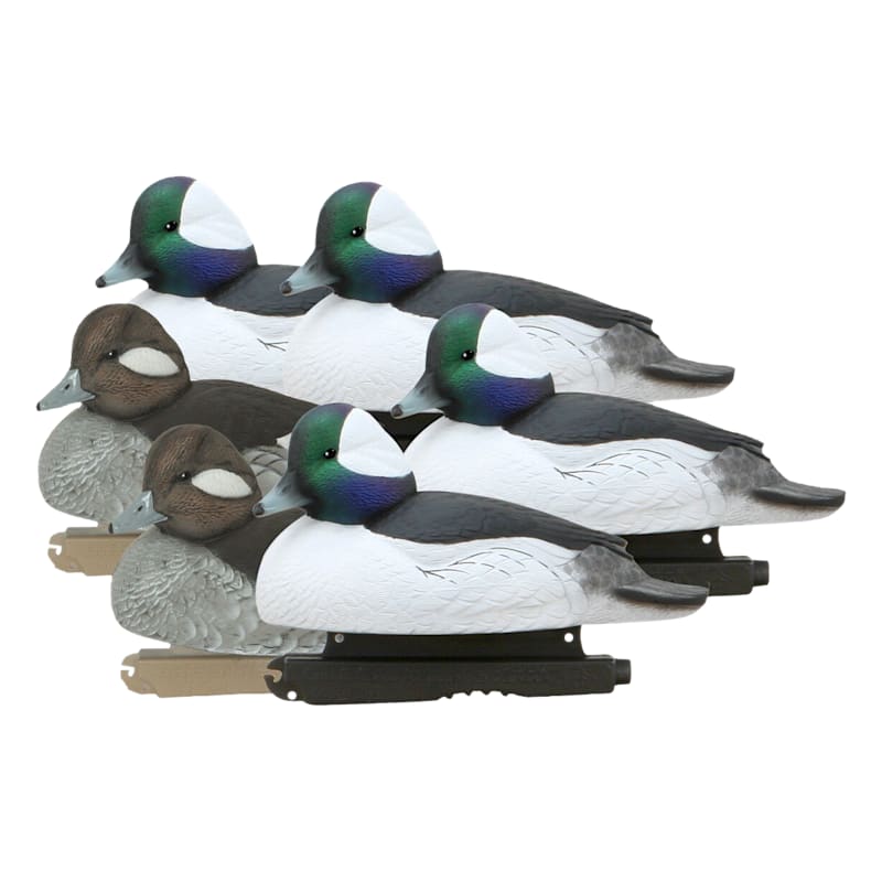 GHG Hunter Series Over Size Foam-Filled Bufflehead Duck Decoys 6-Pack