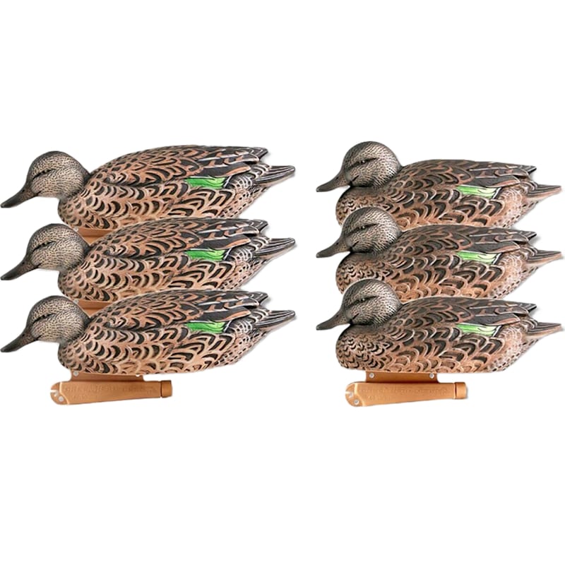 GHG Pro Grade Early Season Hen Pack Green-Winged Teal Duck Decoys 6-Pack