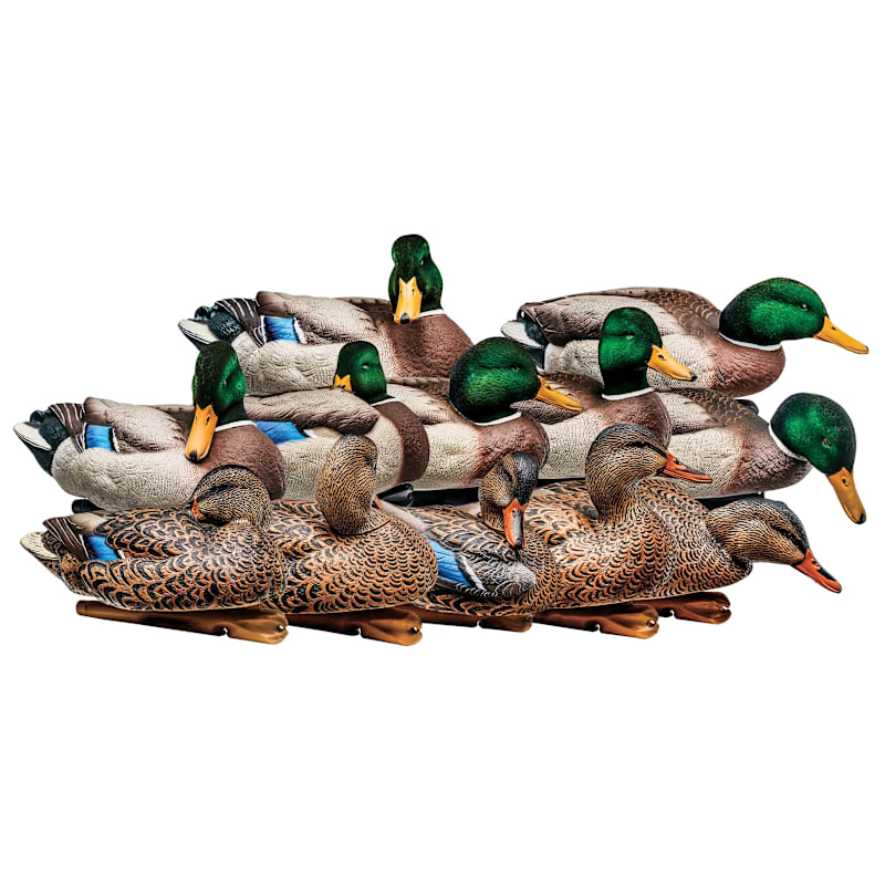 Avian-X Topflight Mallard Duck Decoys Flocked Drake Heads Outfitter 12-Pack