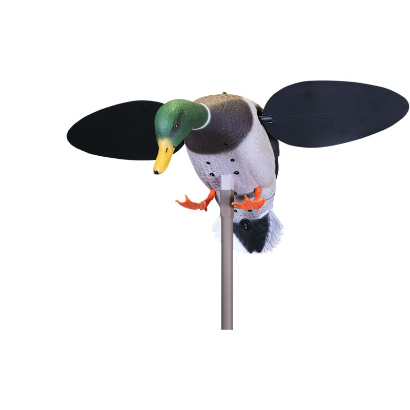 MOJO Outdoors Baby MOJO 2.0 Drake Motorized Duck Decoy