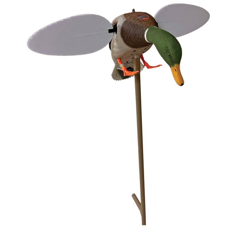 MOJO Outdoors Silver Mallard 25th Anniversary Motorized Duck Decoy
