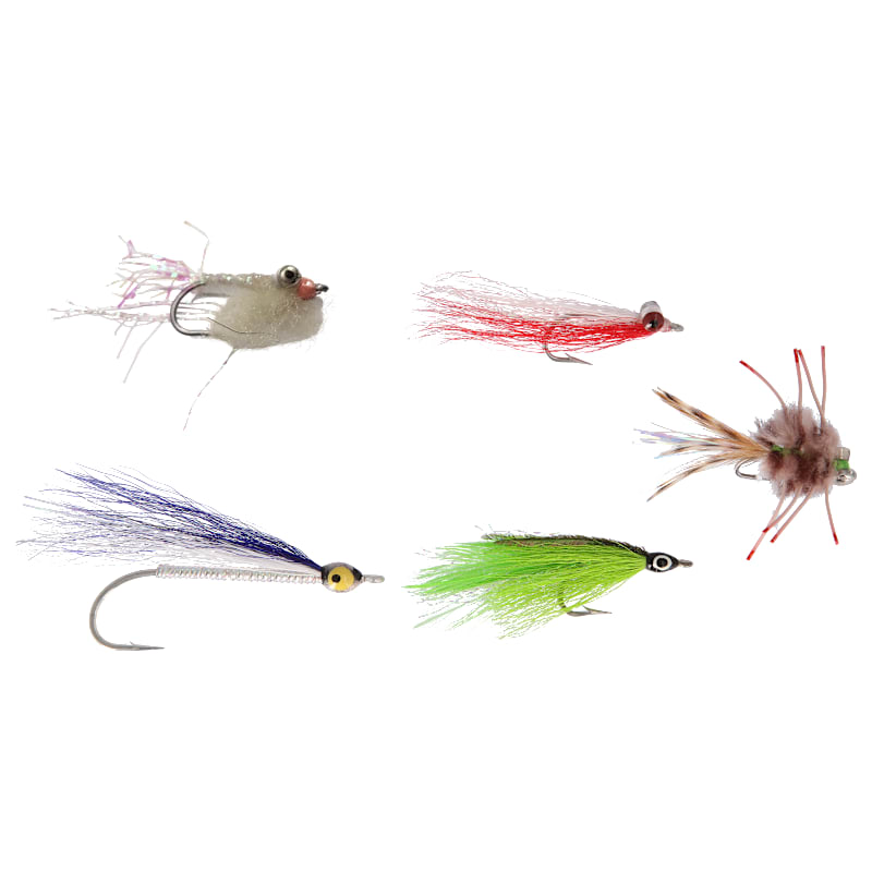 Perfect Hatch Premium 5-Pack Saltwater Fly Assortment