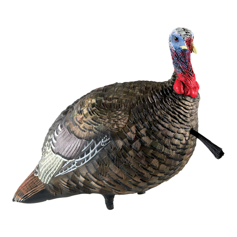 Avian-X LCD Lifelike Collapsible Decoy Jake Turkey Decoy