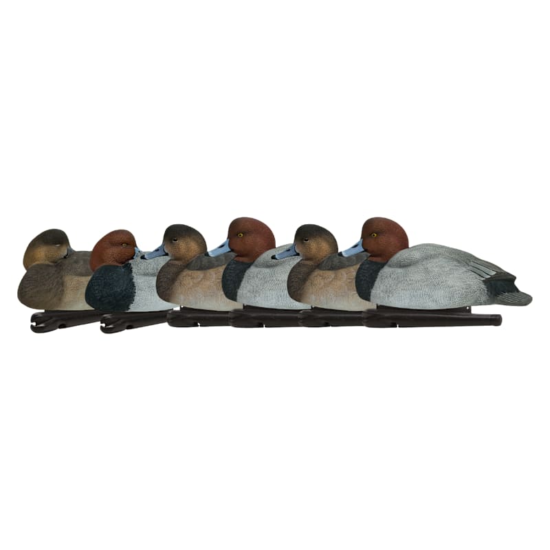 Avian-X Topflight Red Head Duck Decoys 6-Pack