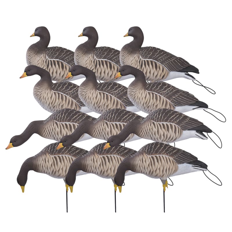 GHG Pro Flex Full-Body Juvie Specklebelly Goose Decoys Harvester 12-Pack