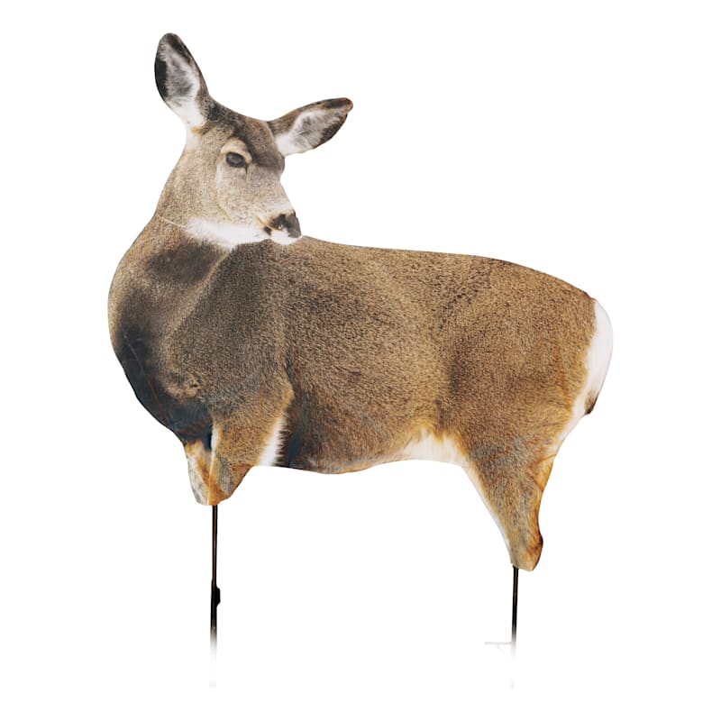 Montana Decoy Miss Muley Collapsible Doe Mule Deer Decoy