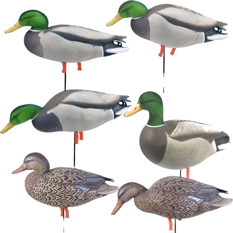 GHG Pro Grade FFD Elite Full Body Mallard Duck Decoys Harvester 6-Pack