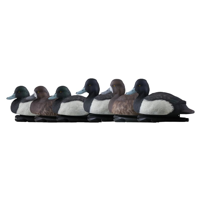 Avian-X Topflight Bluebill Duck Decoys 6-Pack