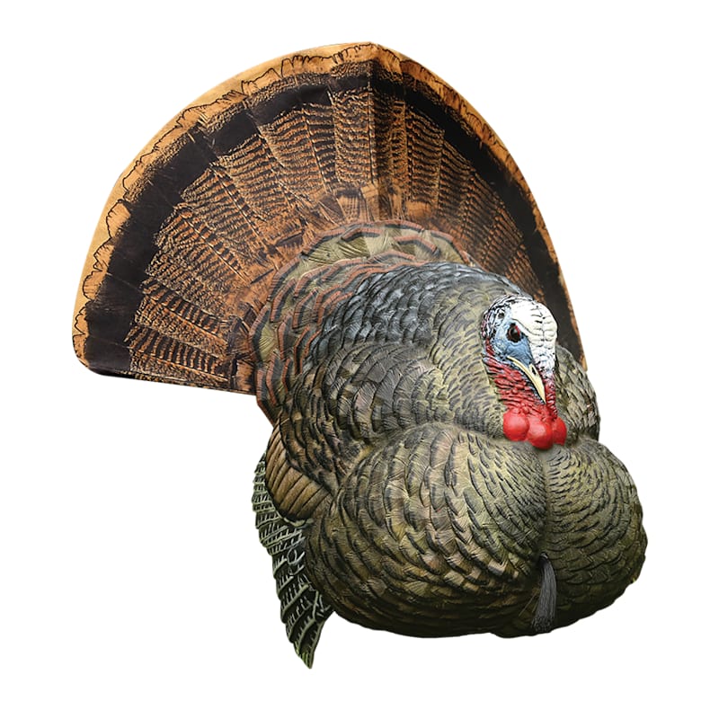 Avian-X LCD Strutter Turkey Decoy