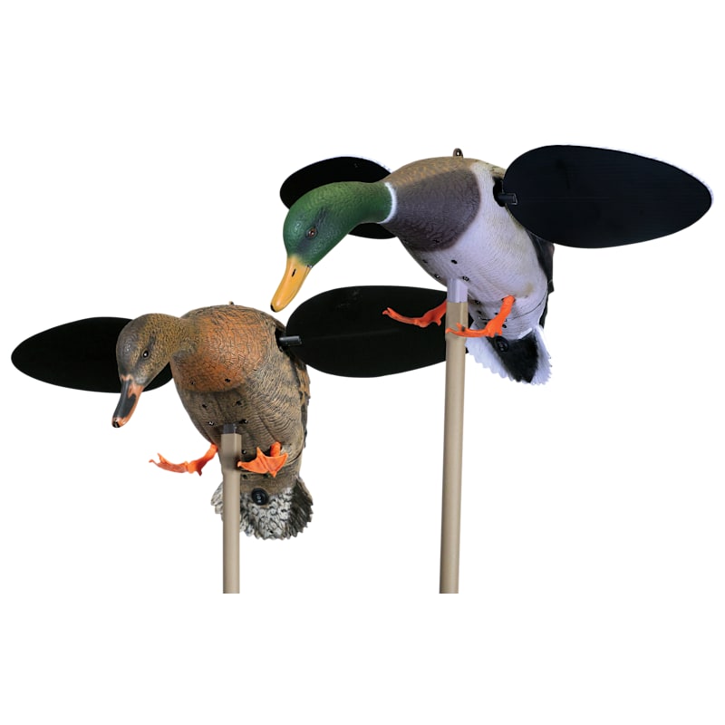 MOJO Outdoors Baby MOJO 2.0 Mallard Drake and Hen Motorized Duck Decoy 2-Pack