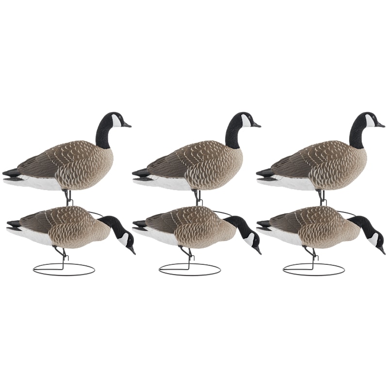 Northern Flight Big Spread Full-Body Canada Goose Decoys 6-Pack
