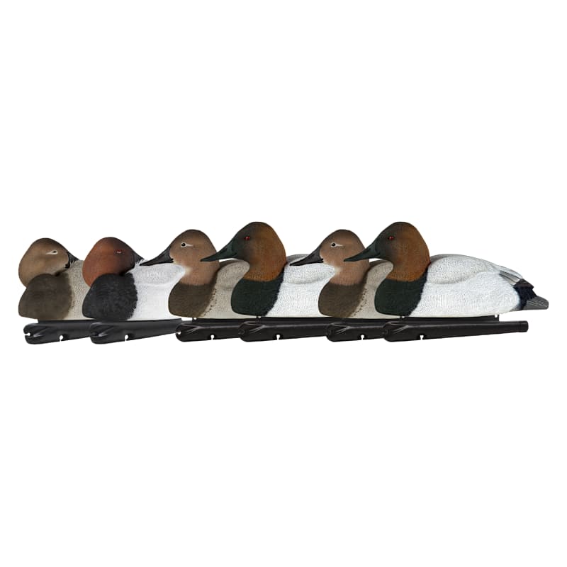 Avian-X Topflight Canvasback Duck Decoys 6-Pack