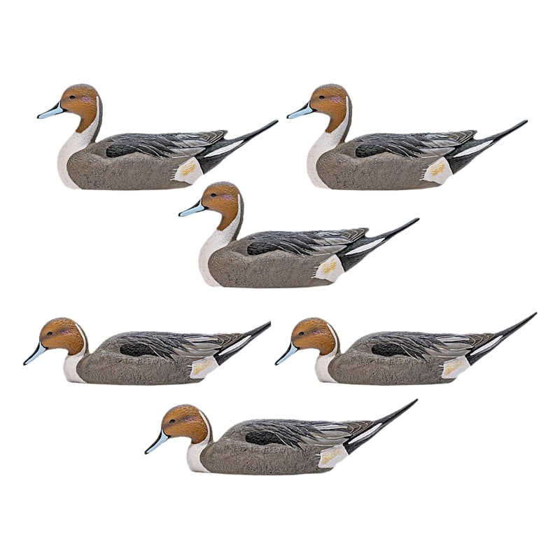 Rig'Em Right Mainline Pintail Duck Decoys 6-Pack