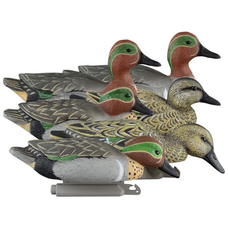 Higdon Standard Foam-Filled Green-Winged Teal Duck Decoys 6-Pack