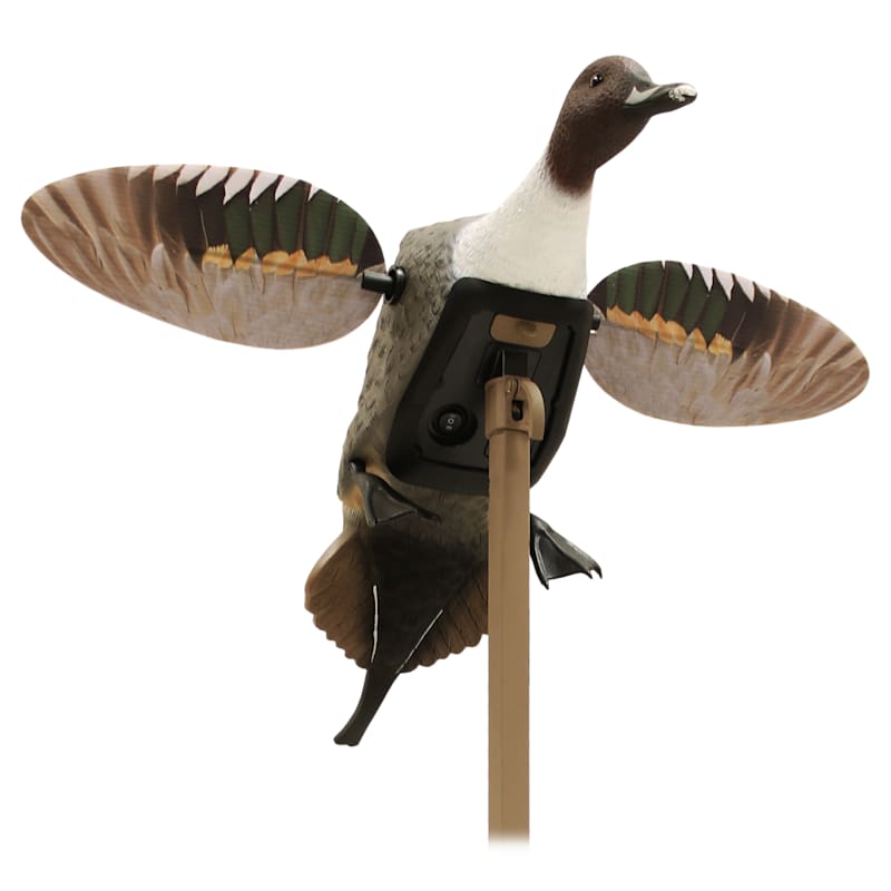MOJO Outdoors Elite Series Pintail Motorized Duck Decoy