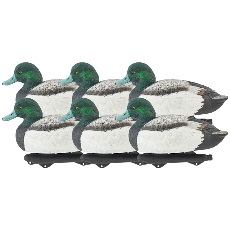 Northern Flight Pro Series Bluebill Duck Decoys 6-Pack