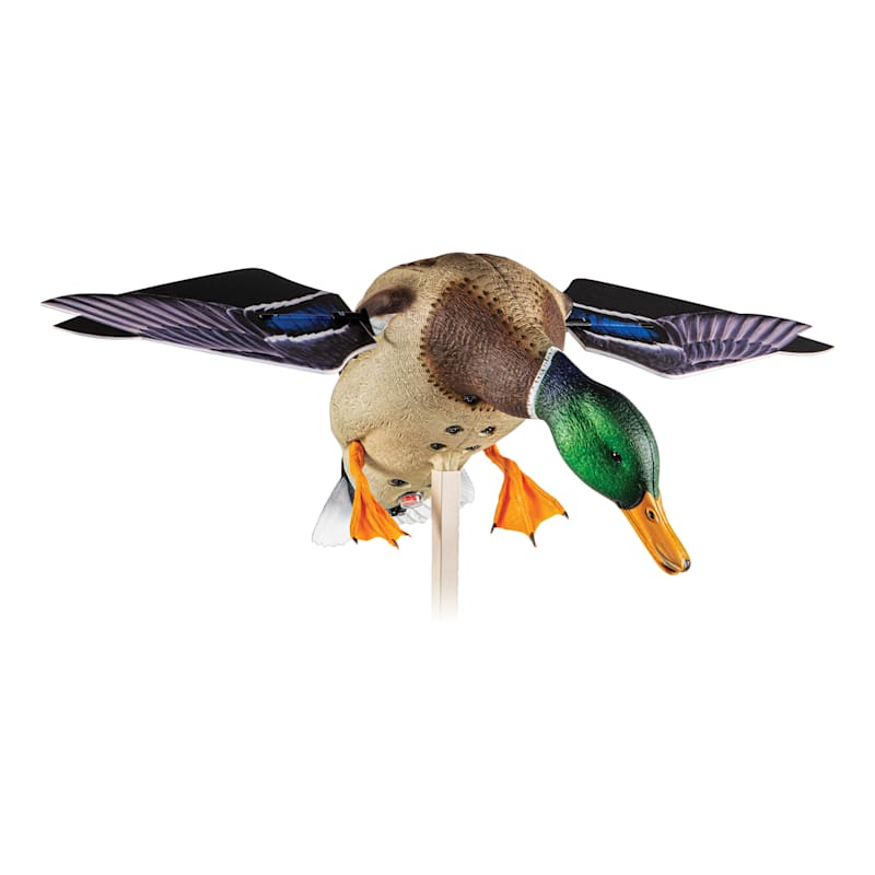 Avian-X PowerFlight Mallard Drake Motorized Duck Decoy with Remote
