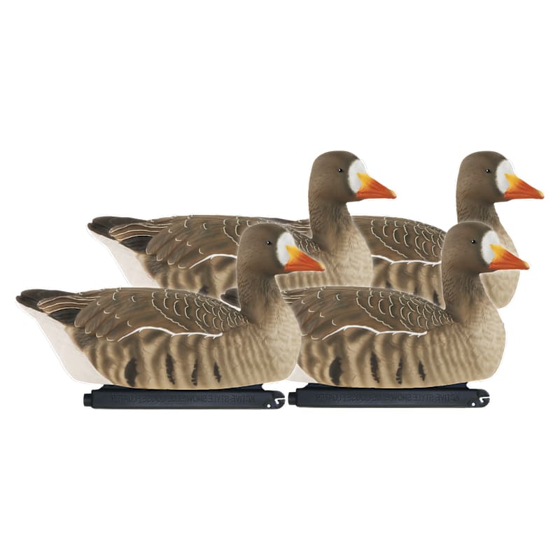 GHG Pro Grade Active Specklebelly Goose Decoys 4-Pack