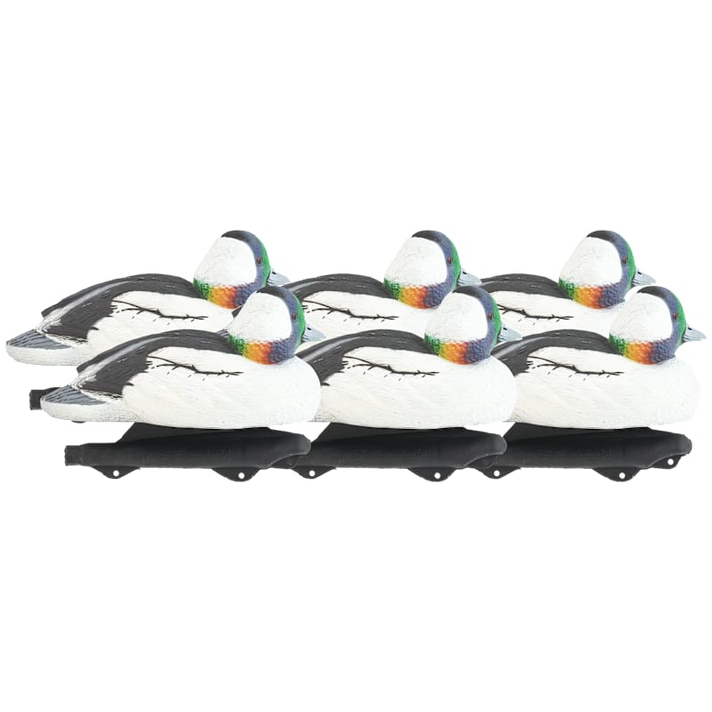 Northern Flight Pro Series Bufflehead Duck Decoy 6-Pack