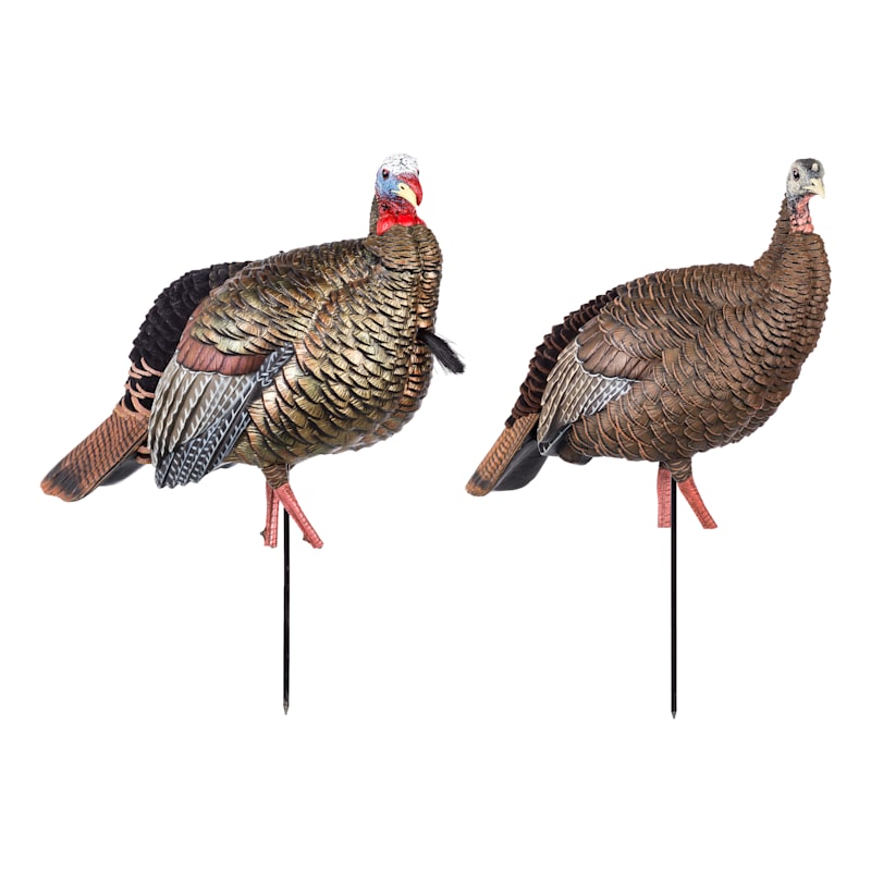 Avian-X HDR Jake and Hen Turkey Decoy Combo