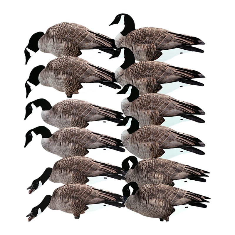 GHG Pro Grade Canada Goose Silhouette Decoys 12-Pack