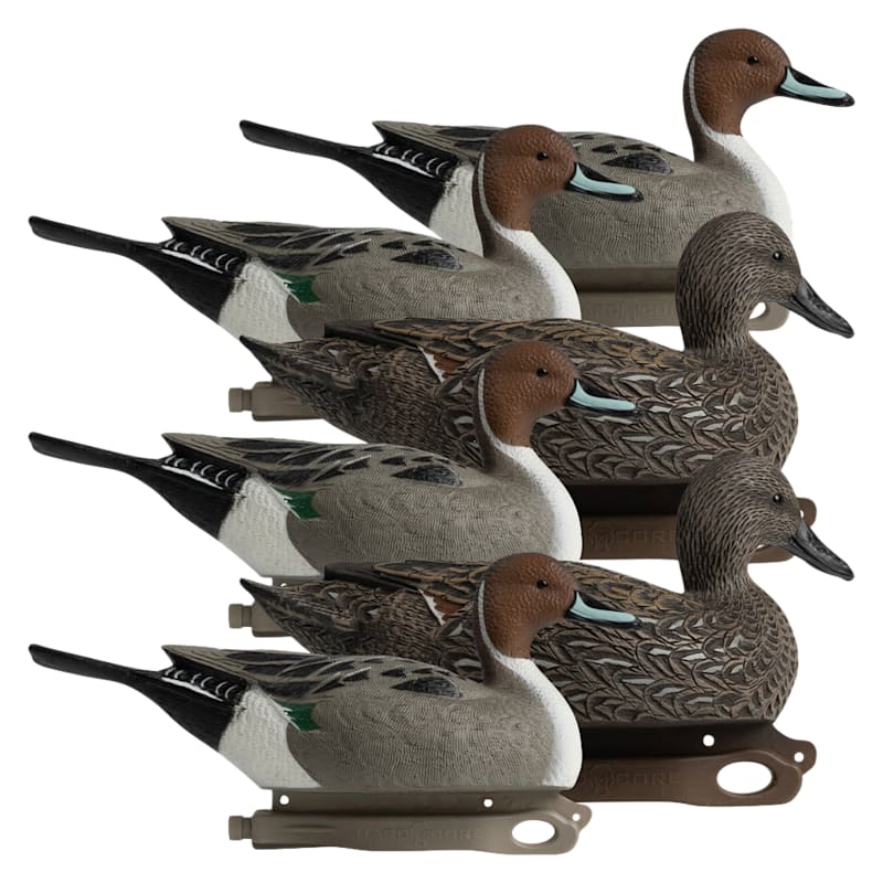 Hardcore Decoys Rugged Series Pintail Duck Decoys 6-Pack