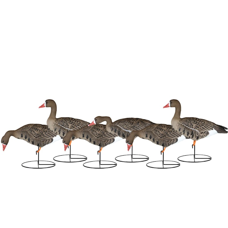 Dakota X-Treme Fully-Flocked Specklebelly Goose Decoys 6-Pack