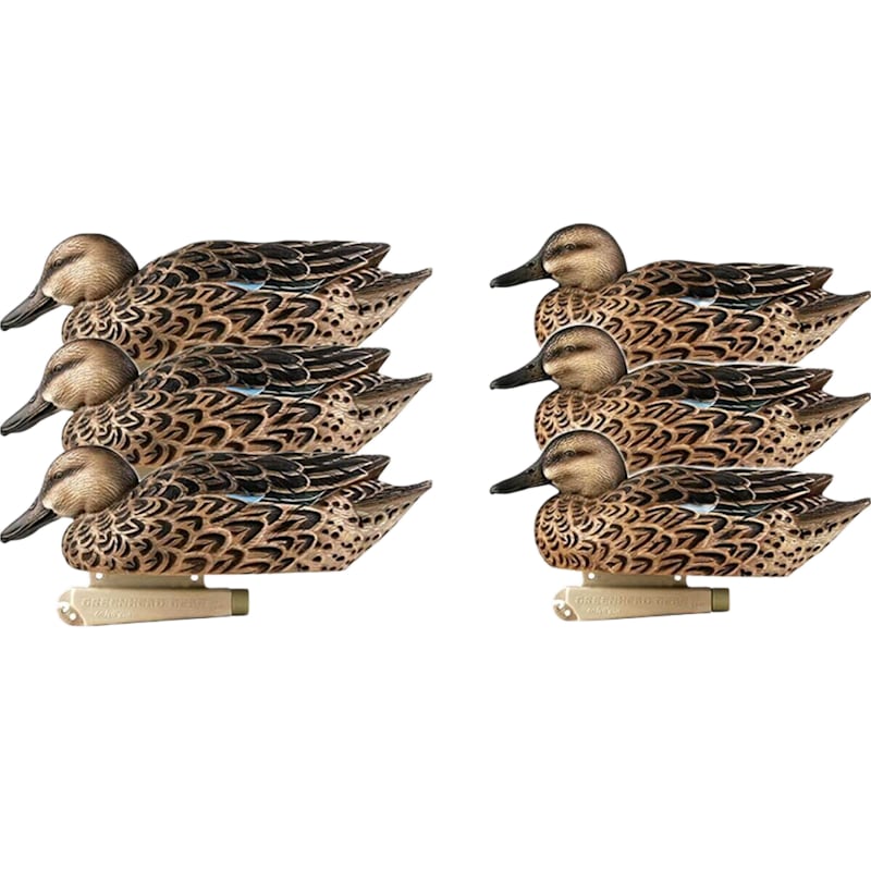 GHG Pro Grade Early Season Hen Pack Blue-Winged Teal Duck Decoys 6-Pack