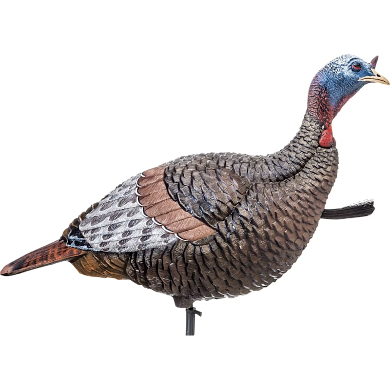 flextone Thunder Jake Turkey Decoy
