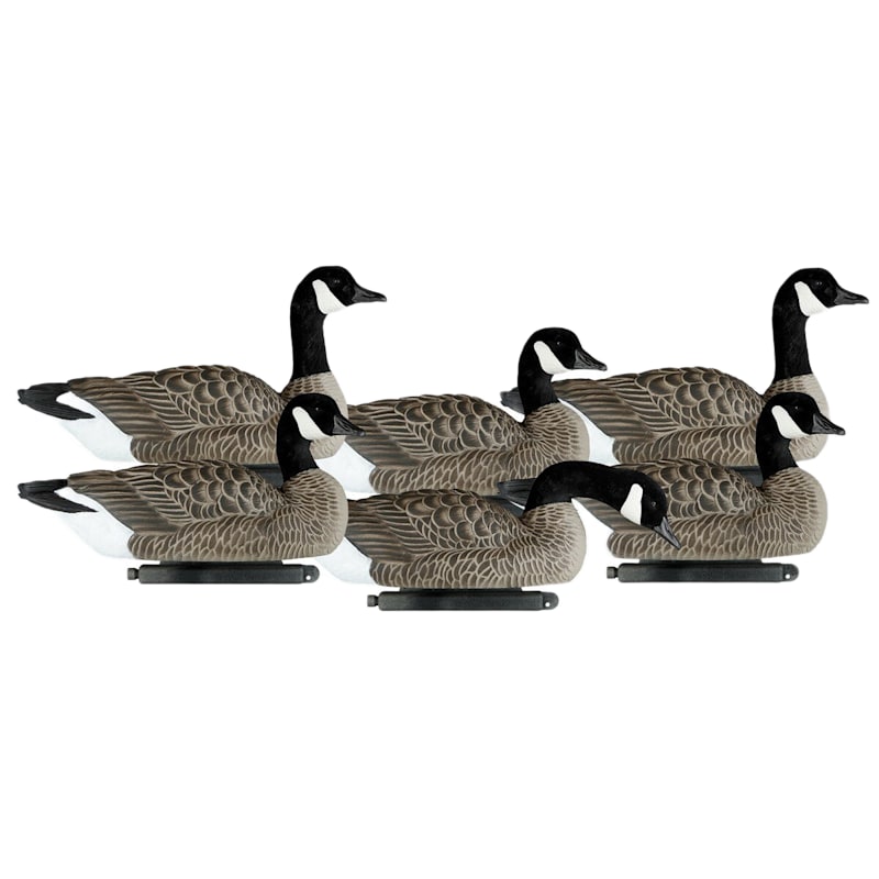 Dakota X-Treme Lesser Canada Goose Decoys 6-Pack
