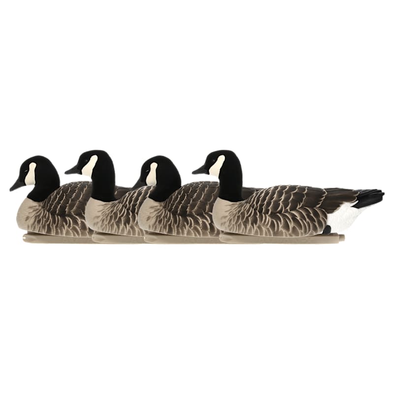 Avian-X Topflight Lessers Canada Goose Decoys 4-Pack