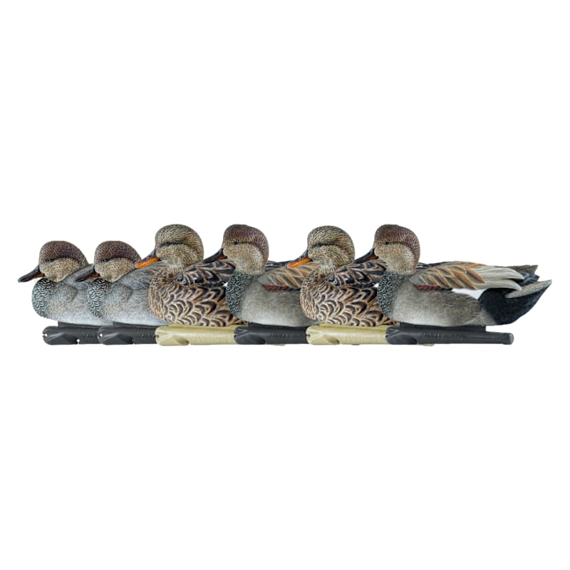Avian-X Topflight Gadwall Duck Decoys 6-Pack