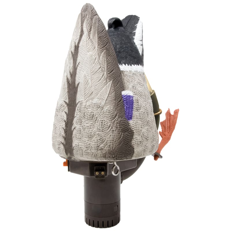 Higdon Pulsator PRO Mallard Drake Motorized Duck Decoy with Feet