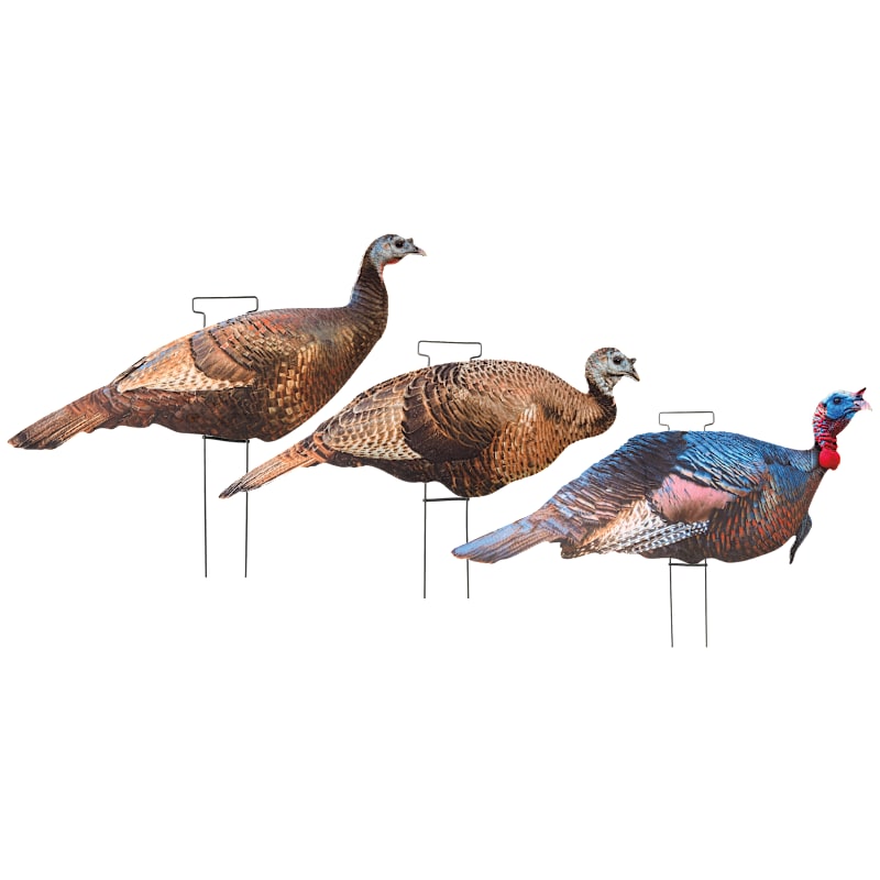 Cabela's Jake and Hens Flocked Silhouette Turkey Decoy 3-Pack