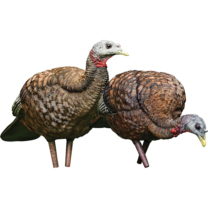 Avian-X Pair of Ladies LCD Breeder/Feeder Hen Turkey Decoy Combo
