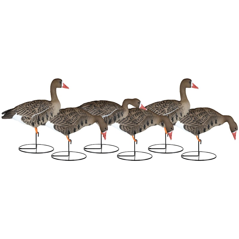 Dakota X-Treme Specklebelly Goose Decoys 6-Pack