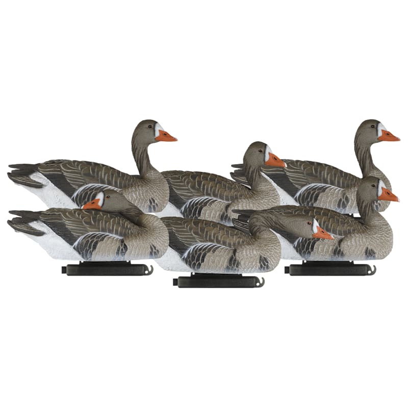Dakota Decoys X-Treme Specklebelly Floater Goose Decoy 6-Pack