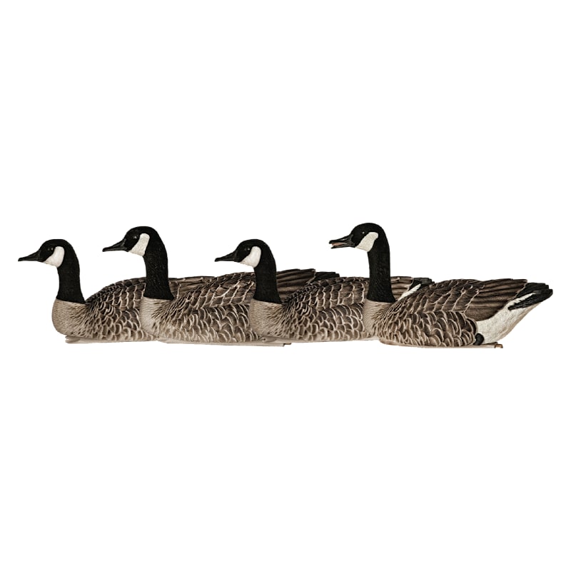 Avian-X Topflight Honker Canada Goose Decoys 4-Pack