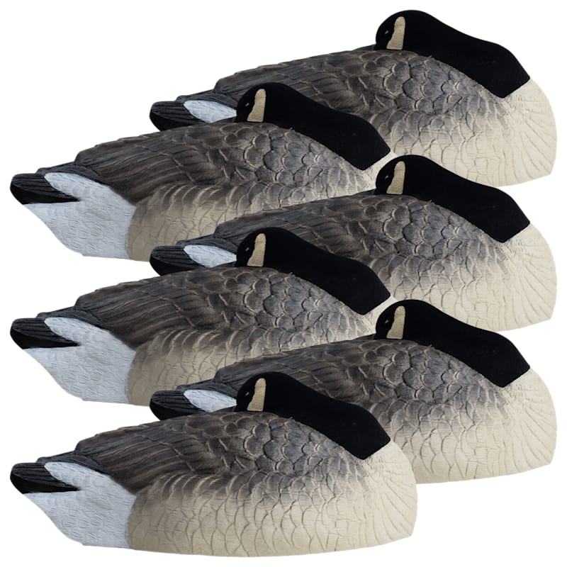 Hardcore Rugged Series Canada Goose Sleeper Shell Decoys 6-Pack